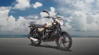 Bajaj CT 110 The Everyday Hero of Indian Streets