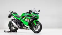 Why Is Kawasaki Giving Big Discounts on the Ninja 300? The Real Reason No Ones Saying